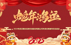 携手共进，共创辉煌—2024年度庆典暨年终总结会